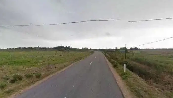 Escuela Rural Ndeg33 Cerca De Mi - Sauce