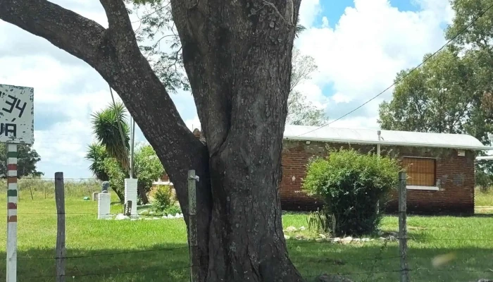 Escuela Rural Ndeg34 Tamandua Ubicacion - Pintado Grande