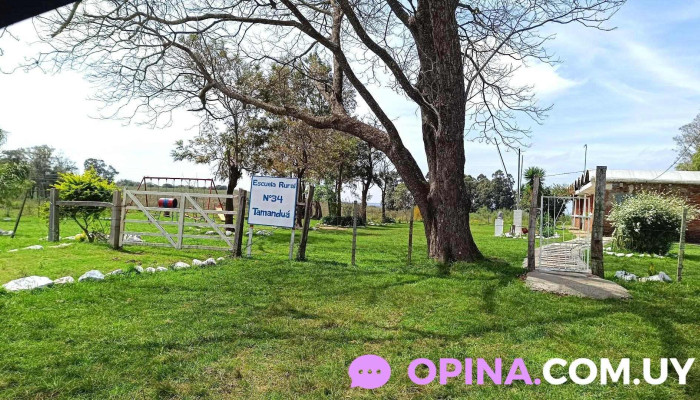 Escuela Rural N°34 Tamanduá - Pintado Grande