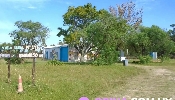 Escuela Rural Nº147 Puntas de Pantanoso - Santa Rosa