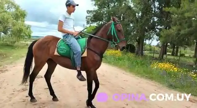 Escuela Tc 35 - Velazquez