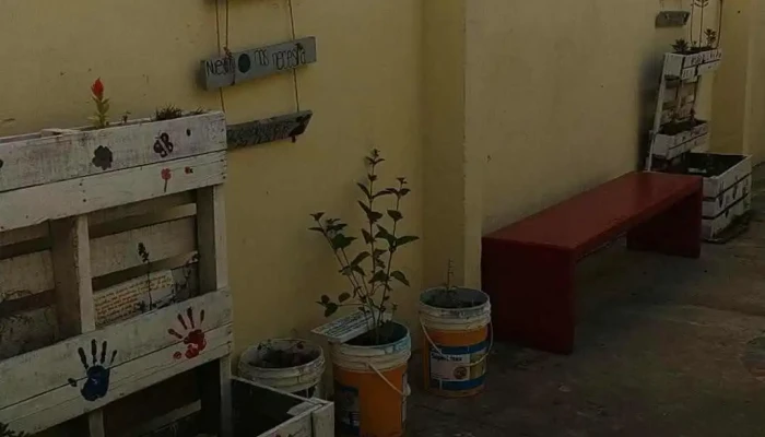 Escuela Tecnica De San Carlos Videos - San Carlos