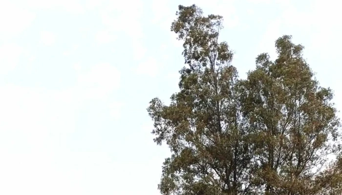 Escuela Técnica Km 16 "Villa García" - Montevideo