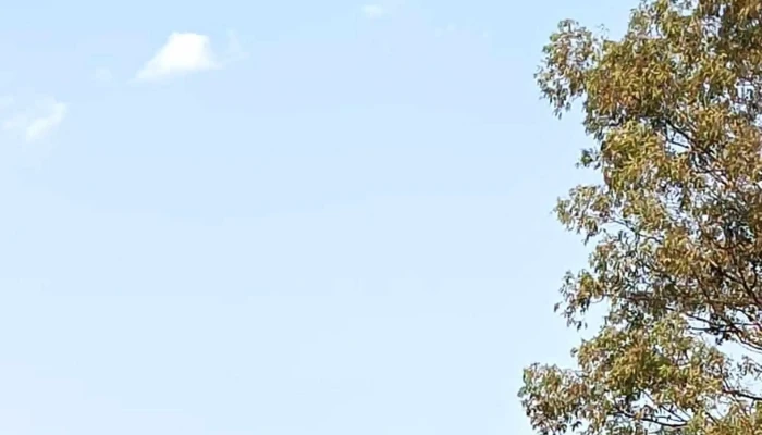 Escuela Tecnica Km 16 Villa Garcia Telefono - Montevideo