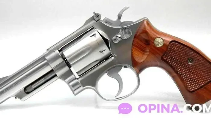 Escuela Uruguaya De Tiro -  Del Propietario - Montevideo