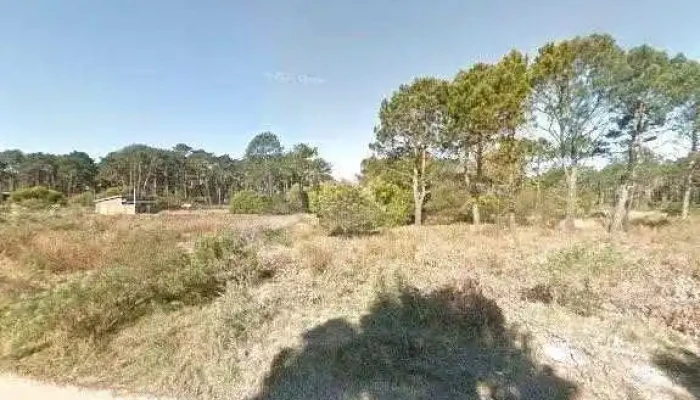 Escuela Viva Del Bosque -  Opinionesdeg - La Paloma