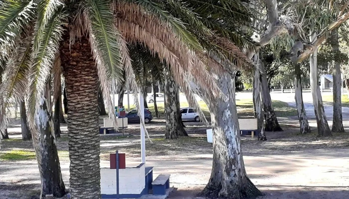 Espacio Arteco Descuentos - Col. del Sacramento