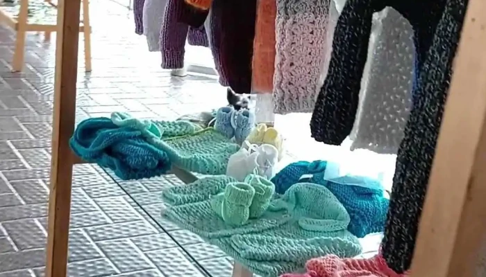 Espacio Arteco Videos - Col. del Sacramento