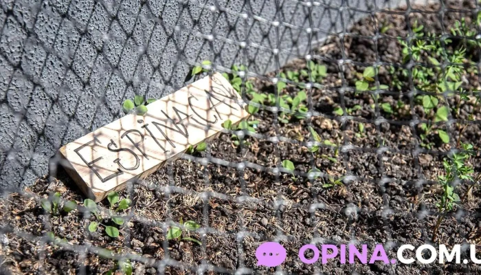 Espacio Ludico School Sede Demostenes Del Propietario - Montevideo