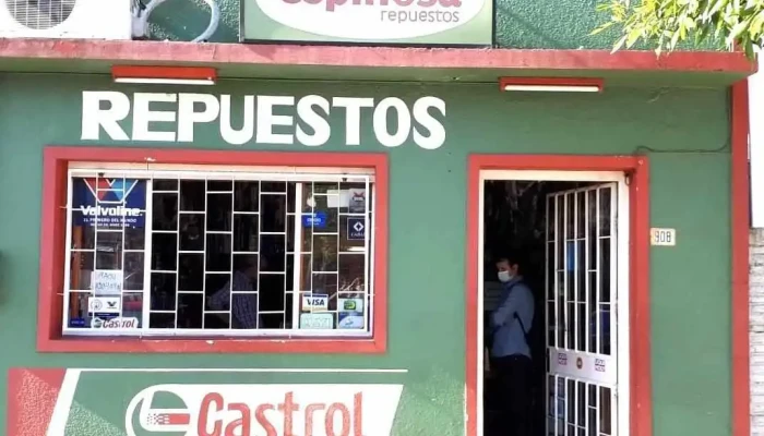 Espinosa Repuestos - 45100 Paso De Los Toros