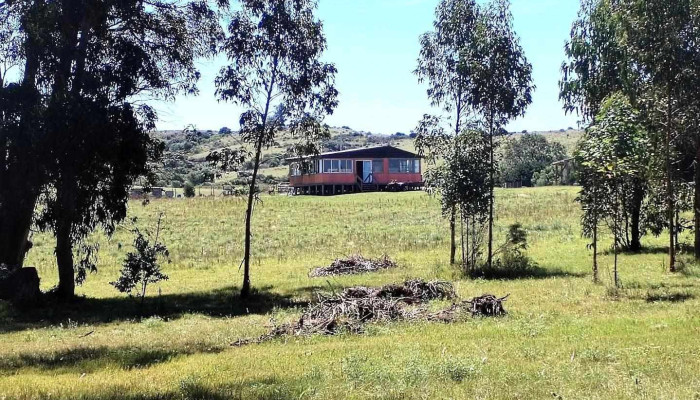 Establecimiento rural La Doña - Pan De Azúcar