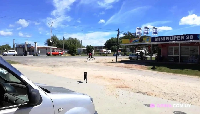 Estacion De Servicios Ancap:  Videos - Gasolinera