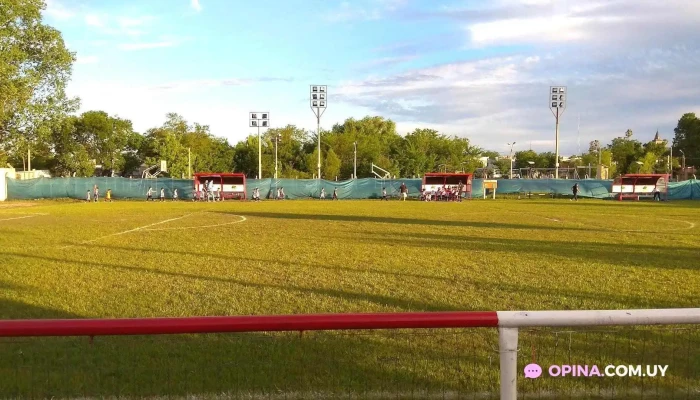 Estadio Baby Fútbol de Tacuarembó - Tacuarembó