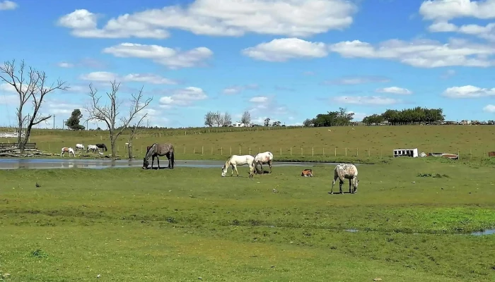 Estadio Unión Miguense - 91700 Migues