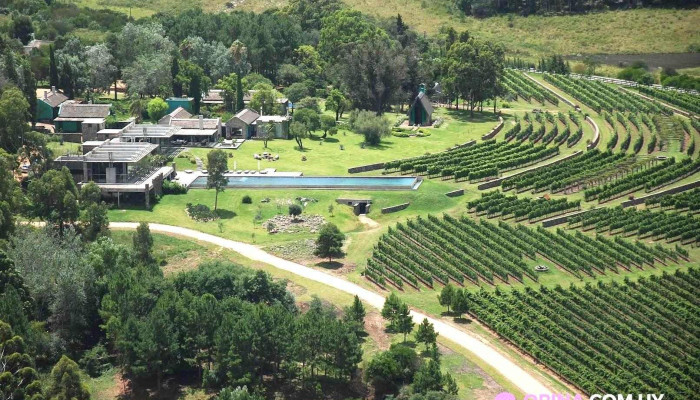 Estancia Aguaverde - La Barra