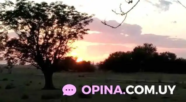 Estancia La Paz:  Casa De Campo Videos - Bed & Breakfast