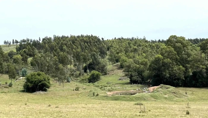 Estancia La Pilona - -54 776877