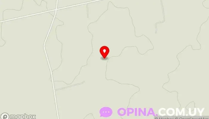 Estilo Animal - Uruguay