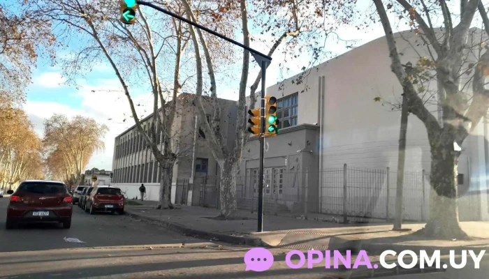 Estilo Unisex - Larravide