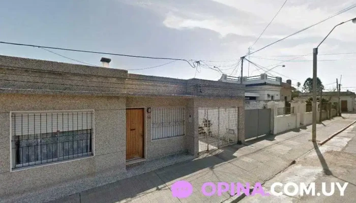 Estudio Cruz - Florida