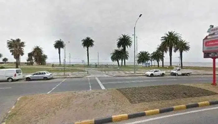 Estudio Zilberman -  Opinionesdeg - Montevideo