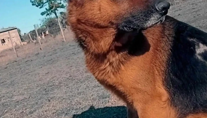 Facchin Cejas -  Paisaje - San F&eacute;lix