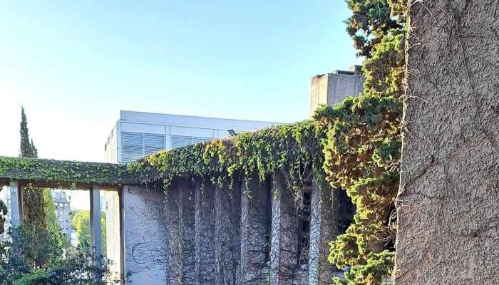 Facultad De Arquitectura Diseno Y Urbanismo Instagram - Montevideo