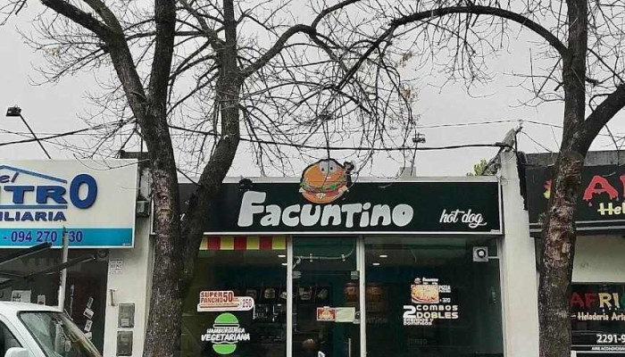 Facuntino:  Pando