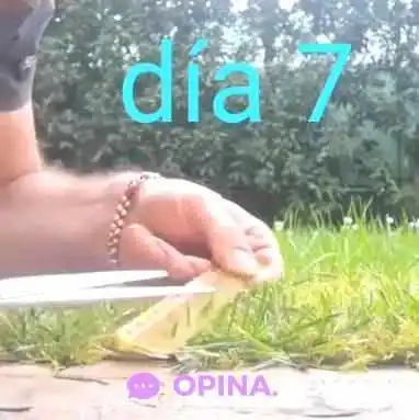 Farmacia Acuario - 12200 Montevideo