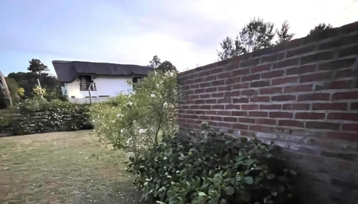 Faro Grupo Inmobiliario -  Comentarios - Punta del Este