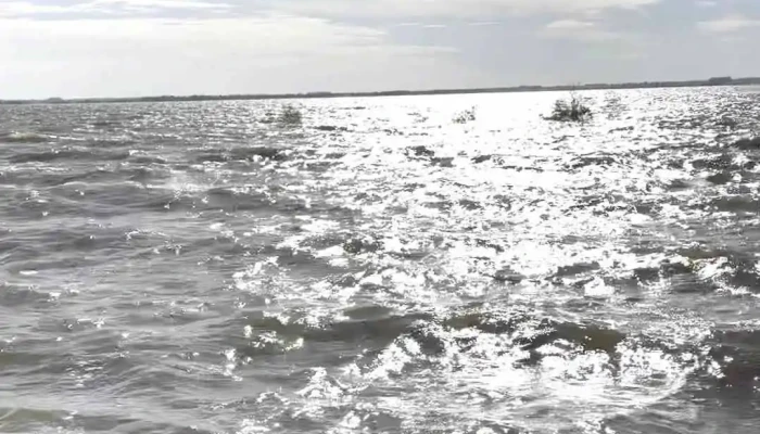 Federaciom - Federación