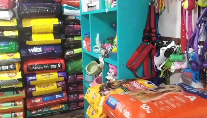 Felibel Mascotas - 11900 Montevideo