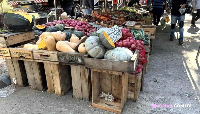 Feria La Floresta:  Todo - Tienda general