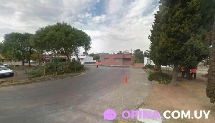 Feria Orgánica y Artesanal - San Carlos