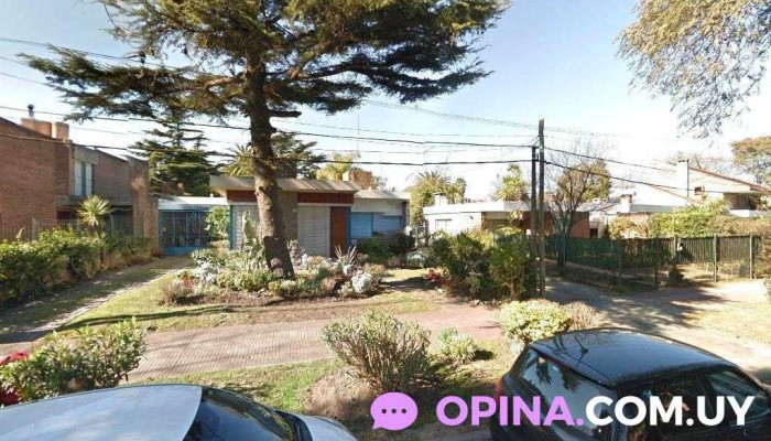 Fernanda Scarzella Negocios Inmobiliarios - Montevideo