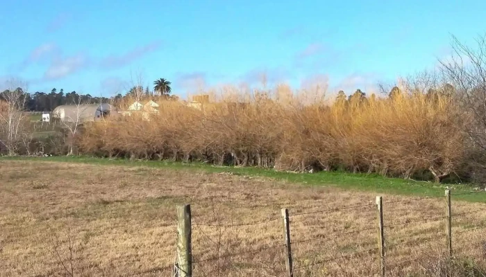 Finca Giacobbe - Montevideo