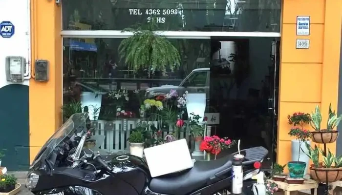 Fiore Del Yi -  Del Propietario - Santa Bernardina