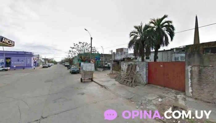 Flequillo loco - 33000 Treinta Y Tres