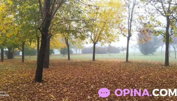 Flor De Azahar -  Del Propietario - Col. del Sacramento