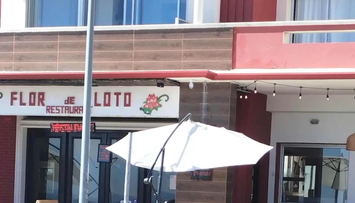 Flor De Loto:  Comentario 2