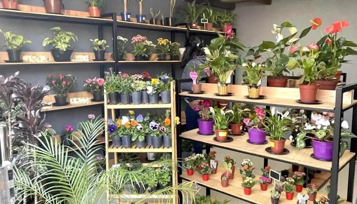 Florama - 70200 Rosario