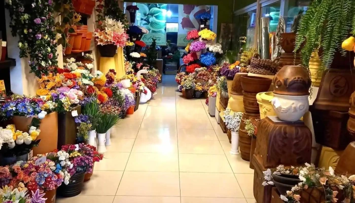 Florería Edison - 97000 Durazno