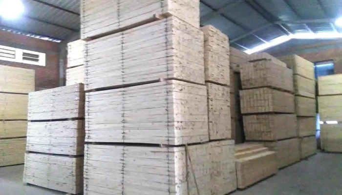 Fm Maderas - Departamento De Canelones