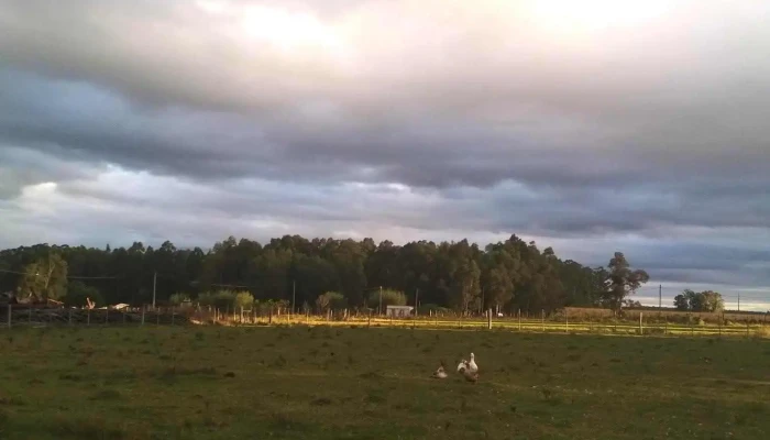 Fortunato Jara Esquina Manuel Pereira - 33002 Vergara