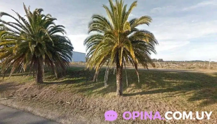 Fraccionamiento Altos del Calabres - Col. Del Sacramento