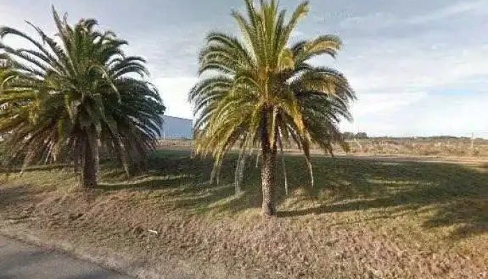 Fraccionamiento Altos Del Calabres -  Fotos - Col. del Sacramento