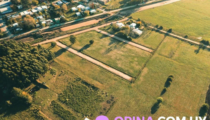 Fraccionamiento Cardenales Ii - Progreso