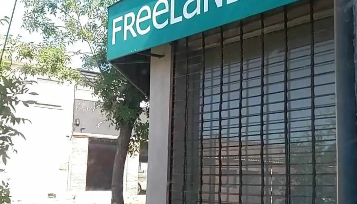 Freeland - 33000 Treinta Y Tres