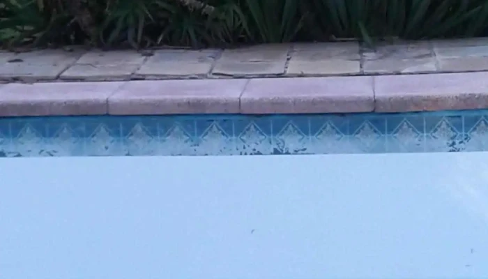 Frigorífico Carlos Schneck - 12400 Montevideo