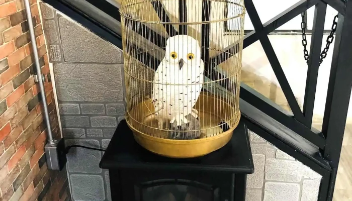 Frikantec -  Interior - Montevideo